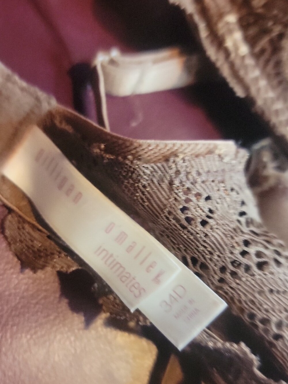 Gilligan & O'Malley Brown Lace Push-Up Bra and Lace Bikini Set - Picture 6 of 7